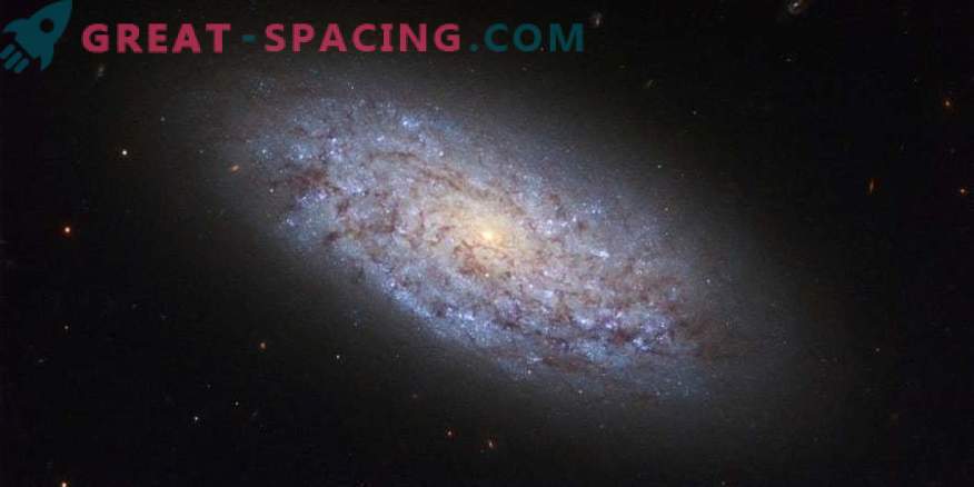 Одобрена най-старата спирална галактика