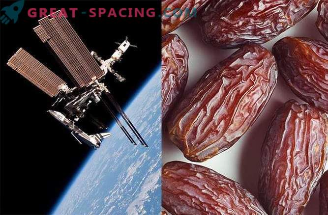 Космически сливи за здраве на костите на космонавт