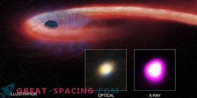 Супермасивна черна дупка разкъсва една нещастна звезда