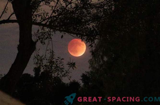Зашеметяващата Blood Moon удари света: снимка