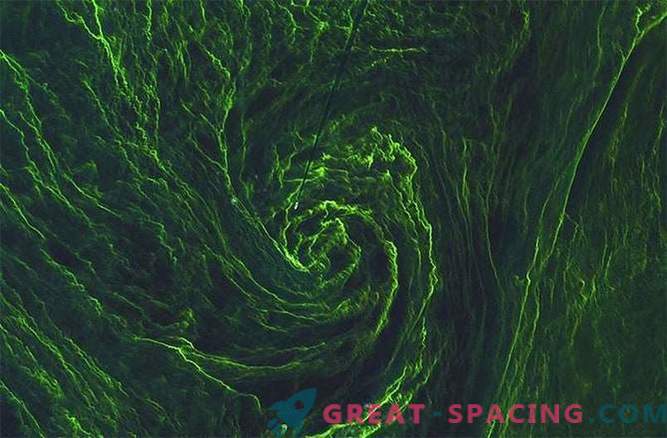 Сателитът улавя водовъртеж от зелени водорасли