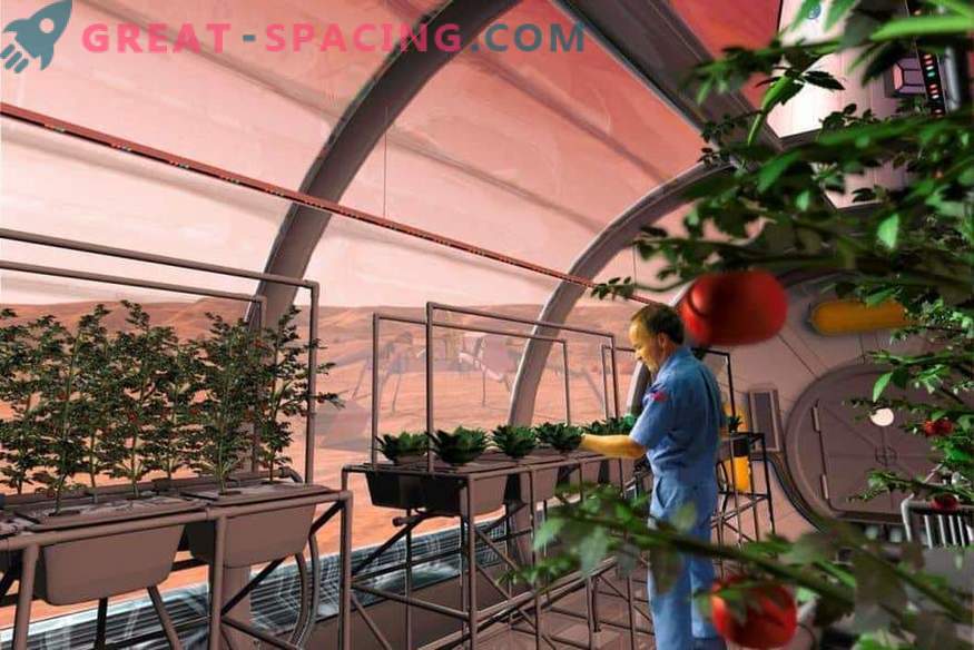 НАСА ще изпрати растения на Марс?