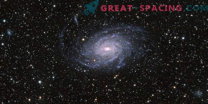 Многочастотно изследване на NGC 6744