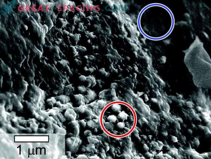 Животът може да е намерен в проби на марсиански метеорит