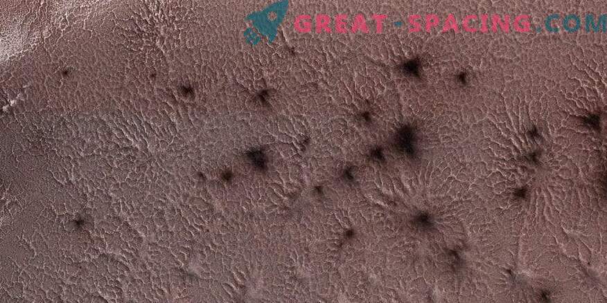 Martian Spiders poseren voor NASA